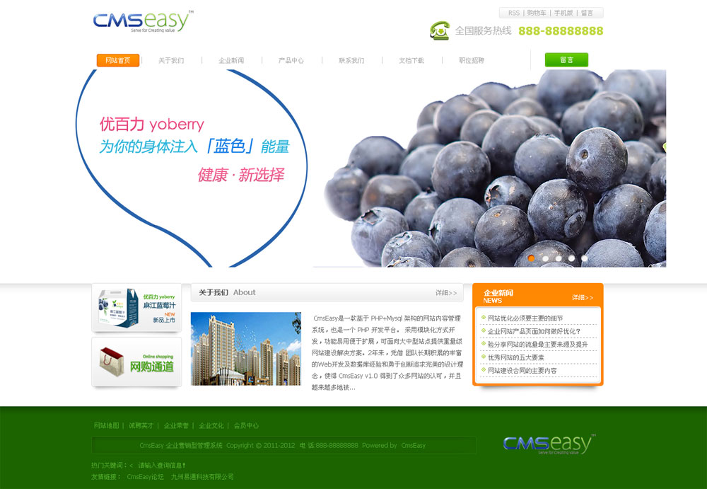 漂亮的藍(lán)莓水果公司網(wǎng)站模板